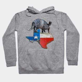 Armadillo Texas State Flag Map Hoodie